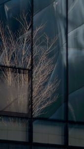 Urban Nature IV
