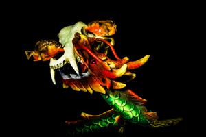 Piranha - Dissection
