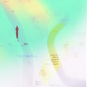 Near the Tasman Sea