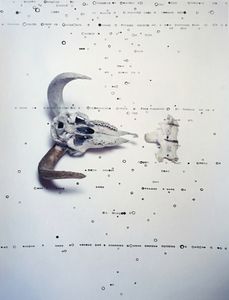 From the Series, Archetypal.  "A Ram, Strength."