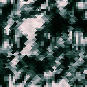 Metamorphosis 48