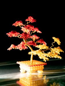 Bonsai