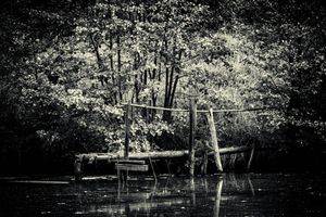 Abandoned Lake