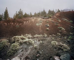 El Teide, view #05