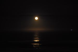 Moon-Rise with Shrimper
