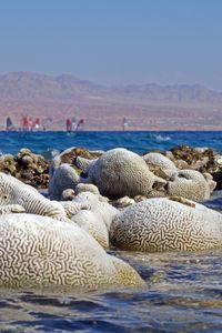 Extreme midday low-tide