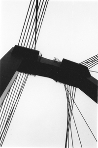 Rotterdam