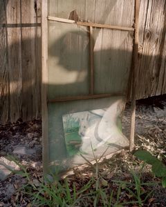 Runaway Bunny (Grandmother Dorothy's Painting)