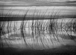 Beside the water II