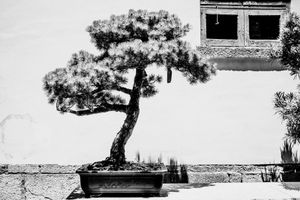 © Yannick Ribeaut