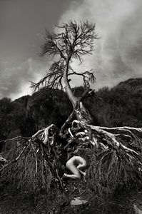 Human Nature #3