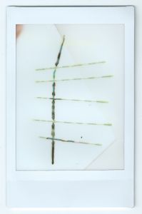 X-acto Fence 02