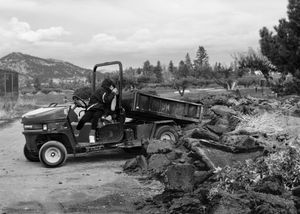 The Dump