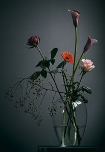 Wallflowers#2