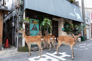 6/27/2020_In front of a coffee shop