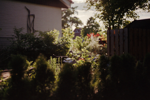 This Is Home #4