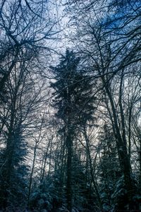 sans titre #10