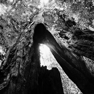 © Stuart Rome