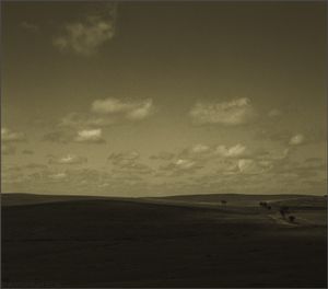 my Alentejo