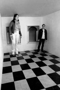 Cornered
