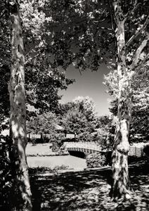 Quiet Waters Summer