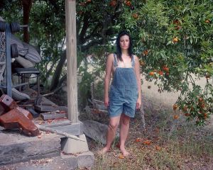 Under the Tangerine Tree