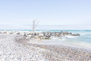 Skagen