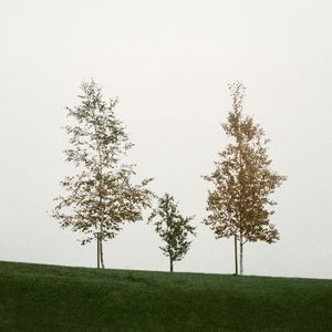 September