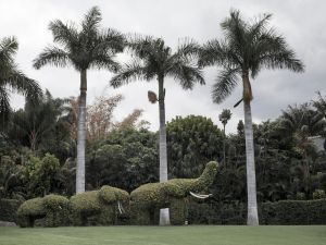 Rezoorts