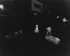two horses and hippopotamus
