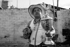 Un hombre presume su trofeo de una pelea de gallos, mientras que su gallo sufre después de un día de bailar en el carnaval.