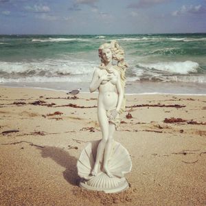 THE VENUS PROJECT