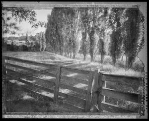 Paddock and Gate, Rocklands, Tai Tapu, New Zealand.