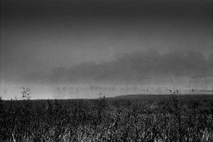 my alentejo
