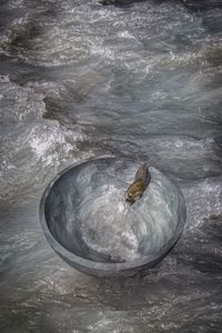 Snail Escape