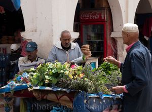 Essaouira (Morocco)