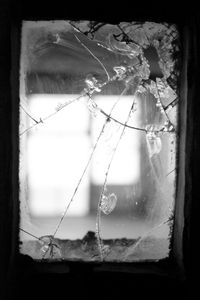 Window 2, Alcatraz