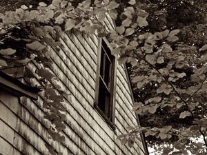 © Mildred Alpern