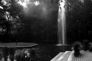 "Kowloon Park Hong Kong"