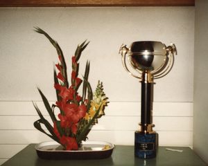 Ikebana et coupe de judo