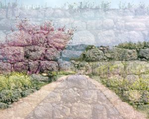 Through the wall