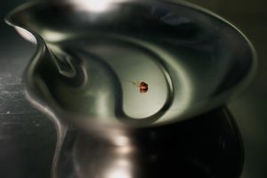 Gallstone#4