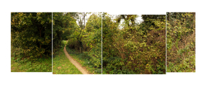 Boundaries #7