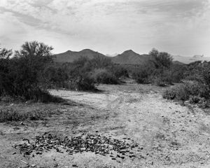Looking West, Near Apache Junction, Arizona
