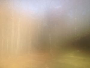 Nov 12  10:24am