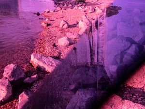PURPLE BAY