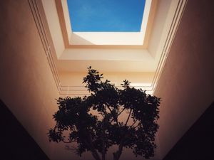 Concrete nature