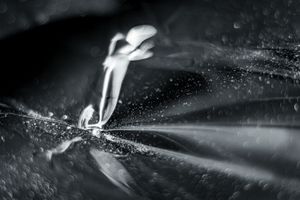 Untitled #38