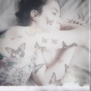 Lepidoptera