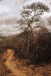 Nature Conservancy, Nantucket, 2012